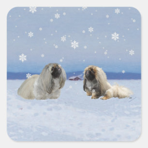 Pegatina Cuadrada Pekinés en Invierno