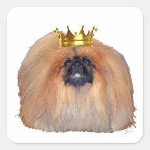 Pegatina Cuadrada Pekinés Rey (¡Personaliza si lo Deseas!)