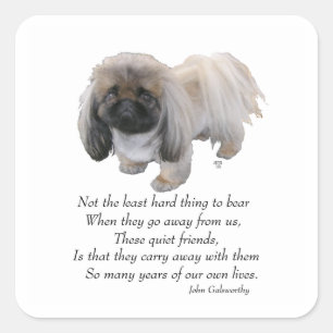 Pegatina Cuadrada Pekingese Puente del Arcoíris