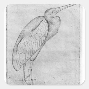 Pegatina Cuadrada Pelican, del álbum The Vallardi