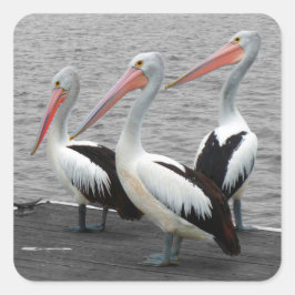 Pegatina Cuadrada Pelican Sea Bird Minimalista Color Pop Photography