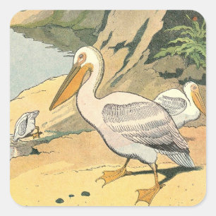 Pegatina Cuadrada Pelícanos en la playa Ilustrados