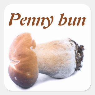 Pegatina Cuadrada Penny bun