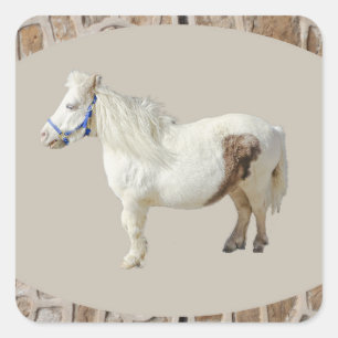 Pegatina Cuadrada Pequeño animal pequeño de Poniy en miniatura