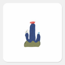 Pequeño cactus