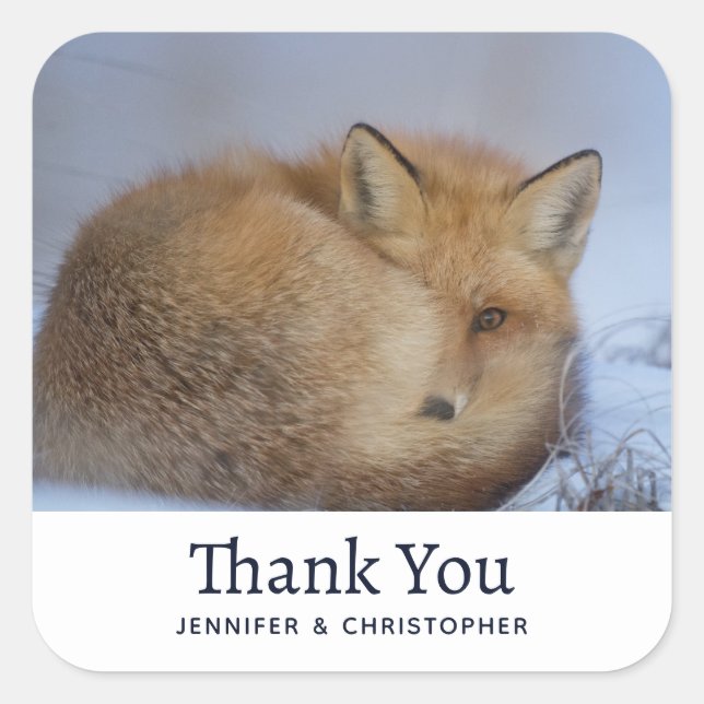 Pegatina Cuadrada Pequeño Fox Maldita Foto De Invierno Cumpleaños (Anverso)