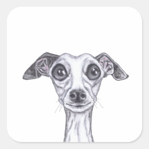 Pegatina Cuadrada PEQUEÑO GREYHOUND ITALIANO g869