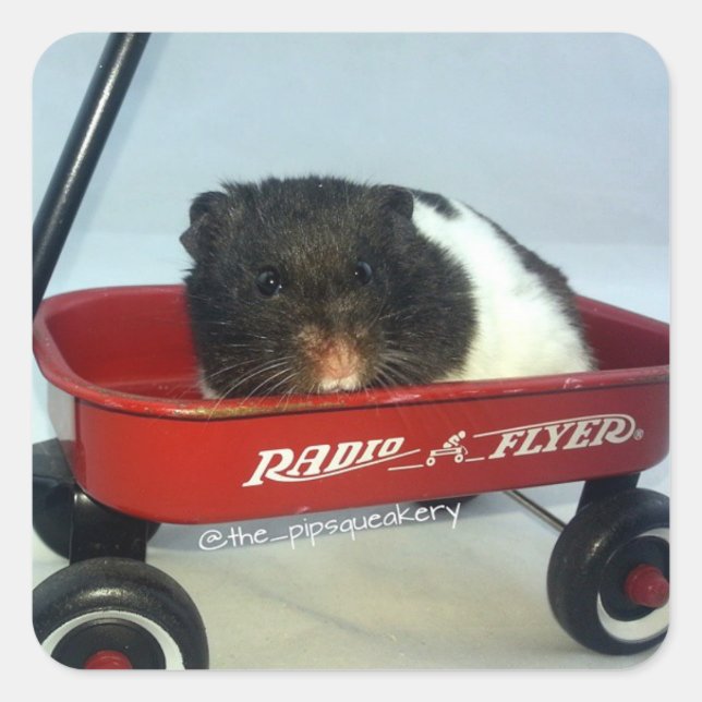 Pegatina Cuadrada Pequeño vagón rojo (Anverso)