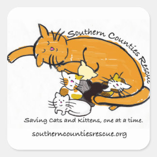 Pegatina Cuadrada Pequeños Pegatinas