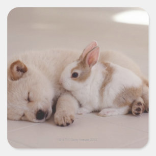 Pegatina Cuadrada Perrito y conejo
