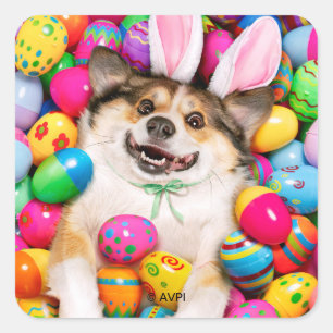 Pegatina Cuadrada Perro acostado sobre huevos de Pascua