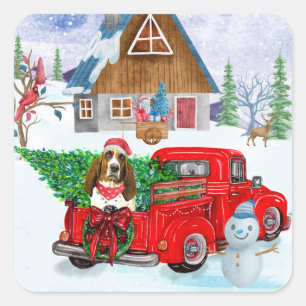 Pegatina Cuadrada Perro Basset Hound en camión de entrega de Navidad