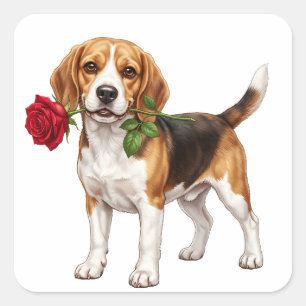 Pegatina Cuadrada Perro Beagle Adorable