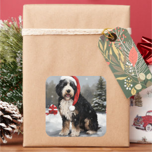 Pegatina Cuadrada Perro Bernedoodle en Navidades de Nieve