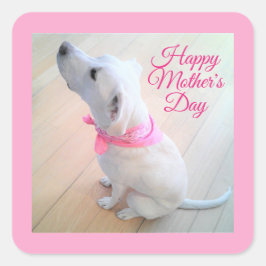 Pegatina Cuadrada Perro blanco lindo llevando el día de la madre con