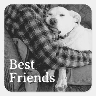 Pegatina Cuadrada Perro Blanco y Negro con Papá Foto Mejores Amigos