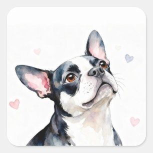 Pegatina Cuadrada Perro Boston Terrier con Corazones