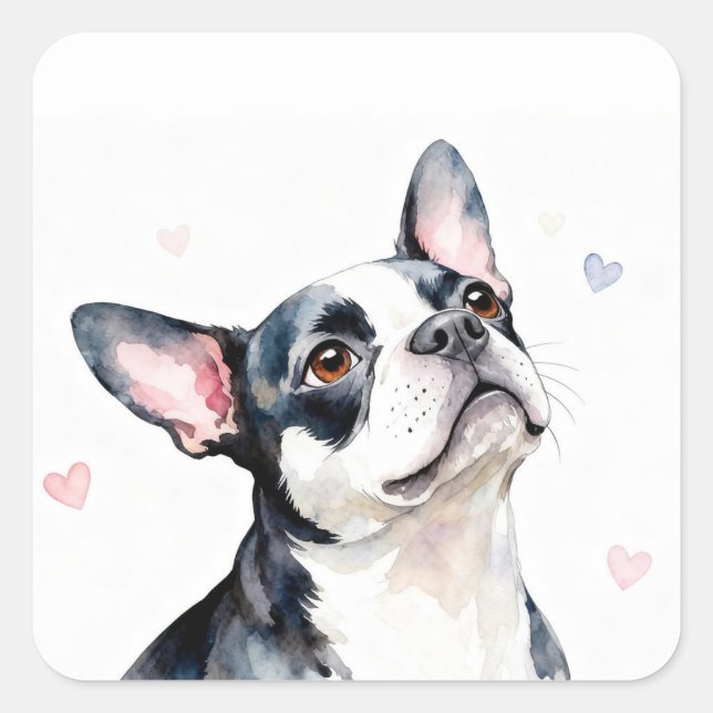 Pegatina Cuadrada Perro Boston Terrier con Corazones (Anverso)