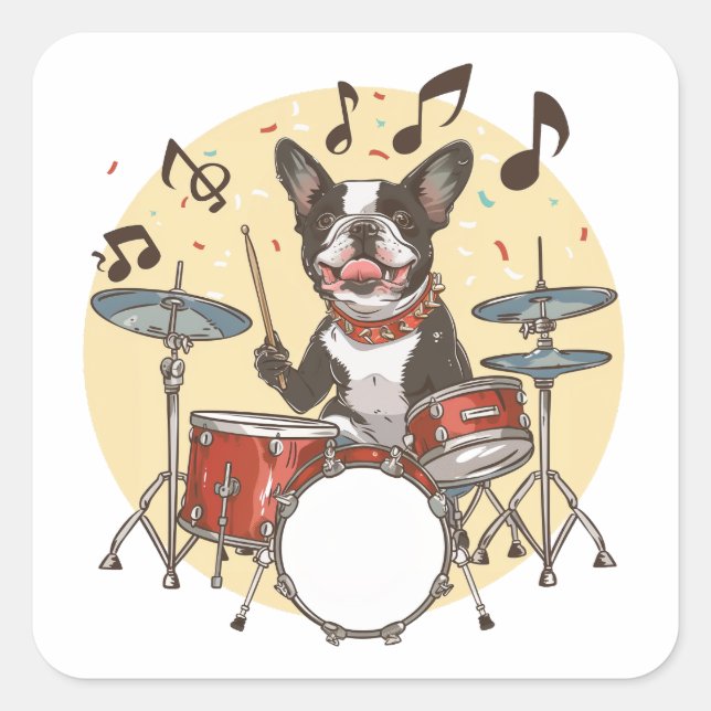 Pegatina Cuadrada Perro Boston Terrier tocando la batería (Anverso)