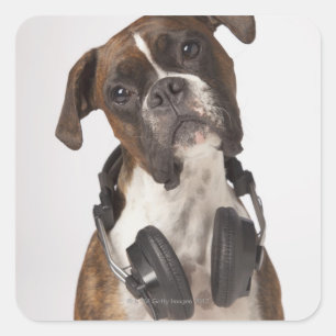 Pegatina Cuadrada perro boxeador con auriculares