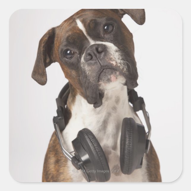 Pegatina Cuadrada perro boxeador con auriculares (Anverso)
