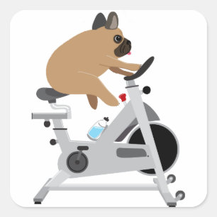 Pegatina Cuadrada Perro Cansado