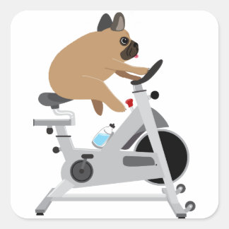 Pegatina Cuadrada Perro Cansado