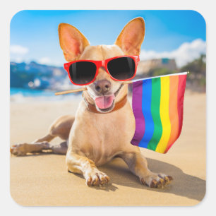 Pegatina Cuadrada Perro Chihuahua en la playa