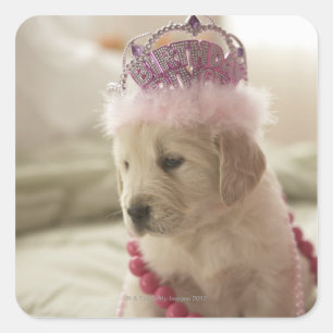 Pegatina Cuadrada Perro con decoración en la cama