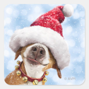 Pegatina Cuadrada Perro con gran sombrero Santa