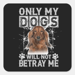 Pegatina Cuadrada Perro Dachshund - No me traicionará regalos