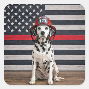 Pegatina Cuadrada Perro dálmata con casco de bombero