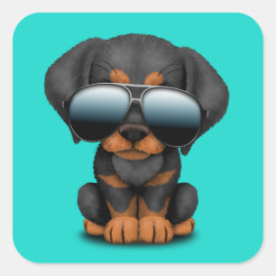 Pegatina Cuadrada Perro de cachorro Cute Doberman con gafas de sol