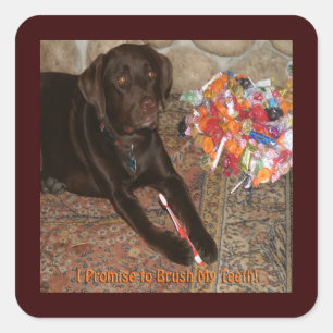 Pegatina Cuadrada Perro de Halloween con dulce