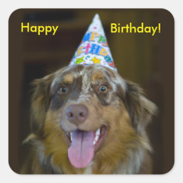 Pegatina Cuadrada Perro de la fiesta de cumpleaños del pastor austra