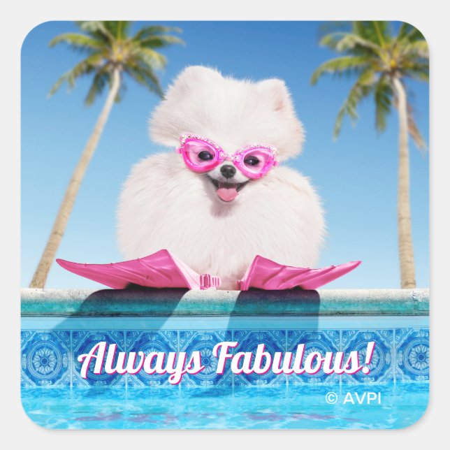 Pegatina Cuadrada Perro De La Piscina En Los Flippers (Anverso)