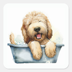 Pegatina Cuadrada Perro de Labradoodle