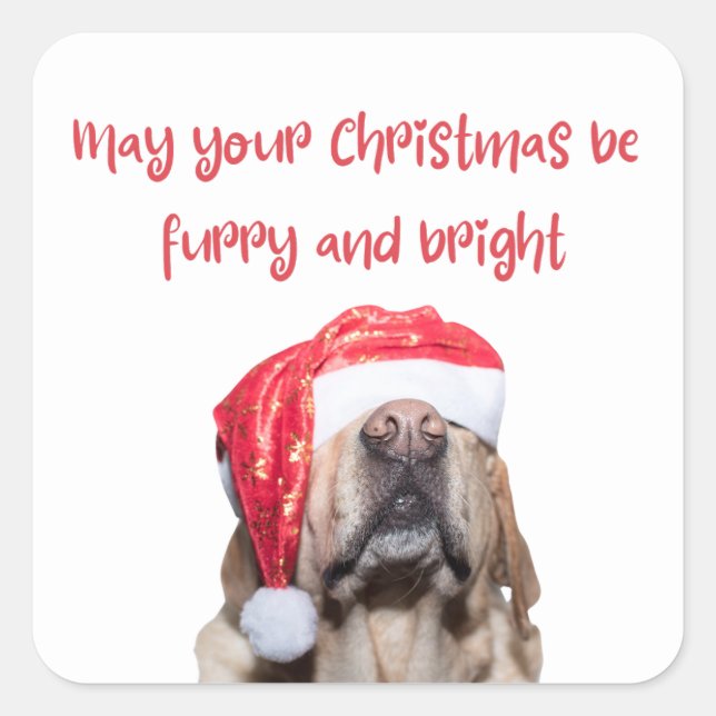 Pegatina Cuadrada perro de navidades divertidos (Anverso)