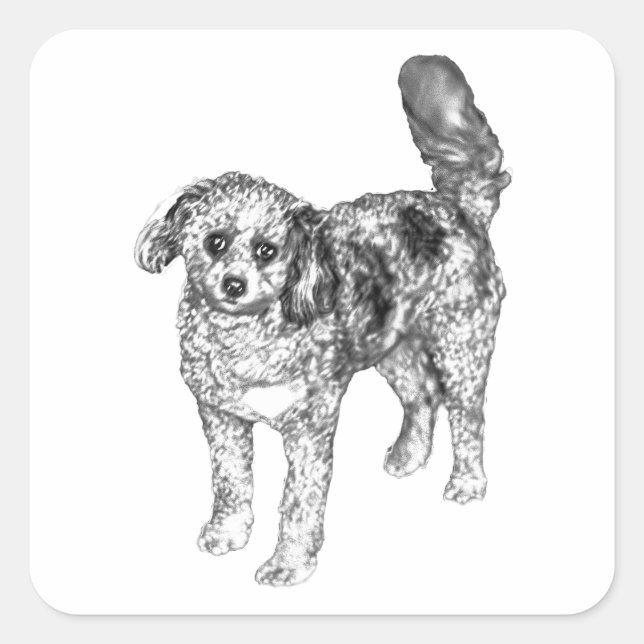 Pegatina Cuadrada Perro de Pelaje Suave Comparte Alegría con Pegatin (Anverso)