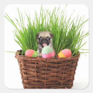 Pegatina Cuadrada Perro de pum de Pascua