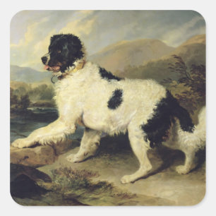 Pegatina Cuadrada Perro de Terranova llamado León, 1824 (aceite en 