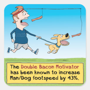 Pegatina Cuadrada Perro divertido y hombre que persiguen el tocino