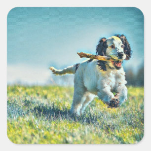 Pegatina Cuadrada Perro en ejecución con palo