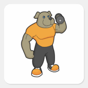 Pegatina Cuadrada Perro en ejercicio con dumbbell