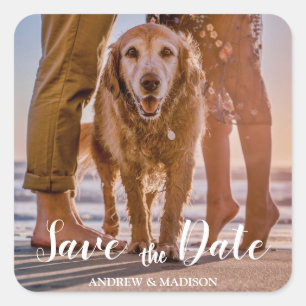 Pegatina Cuadrada Perro en la Playa con Pareja Save the Date