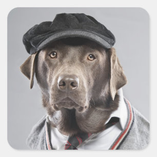 Pegatina Cuadrada Perro en suéter y gorra