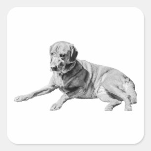 Pegatina Cuadrada Perro fuera, Chill Vibe