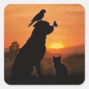 Pegatina Cuadrada Perro gato pájaro y mariposa lindos en la puesta d