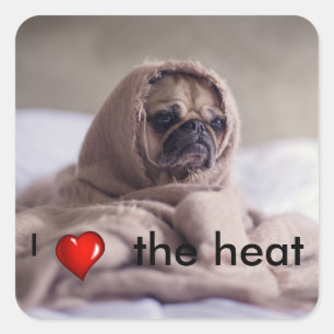 Pegatina Cuadrada Perro gracioso