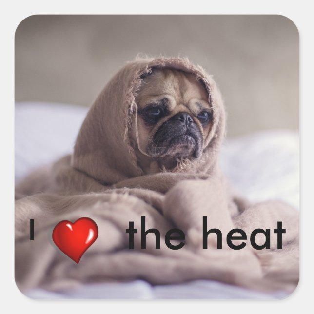 Pegatina Cuadrada Perro gracioso (Anverso)